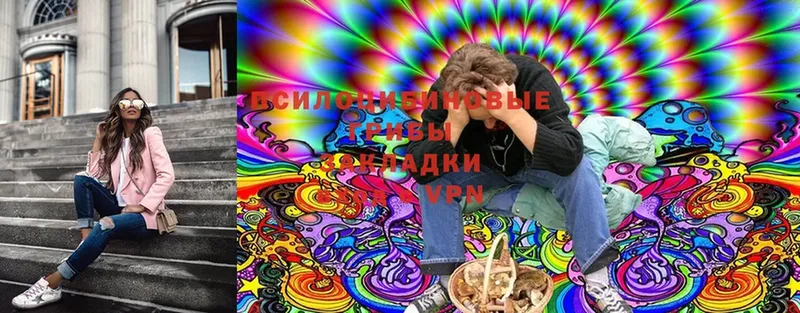 где можно купить   Костомукша  Псилоцибиновые грибы Magic Shrooms 