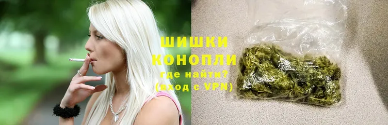 Бошки марихуана Amnesia  купить наркоту  Костомукша 